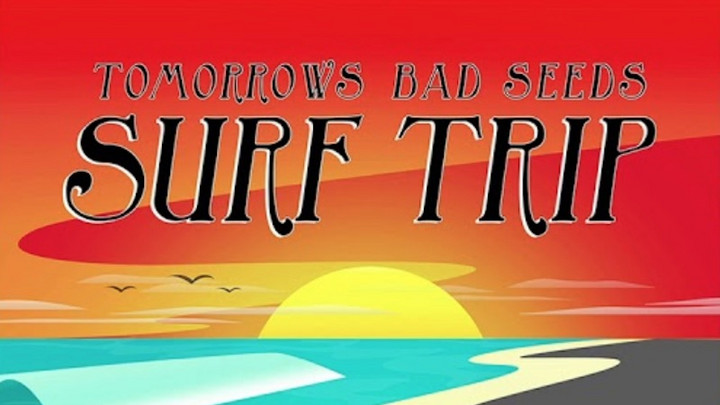 Tomorrows Bad Seeds - Surf Trip [12/6/2019]