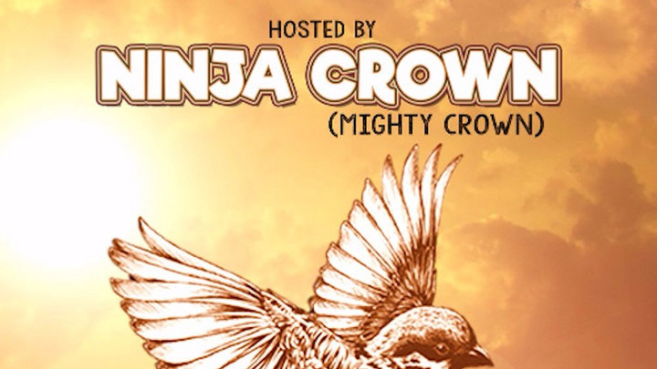 Reggae Robin Riddim (Promo Mix hosted by Ninja Crown) [12/20/2016]