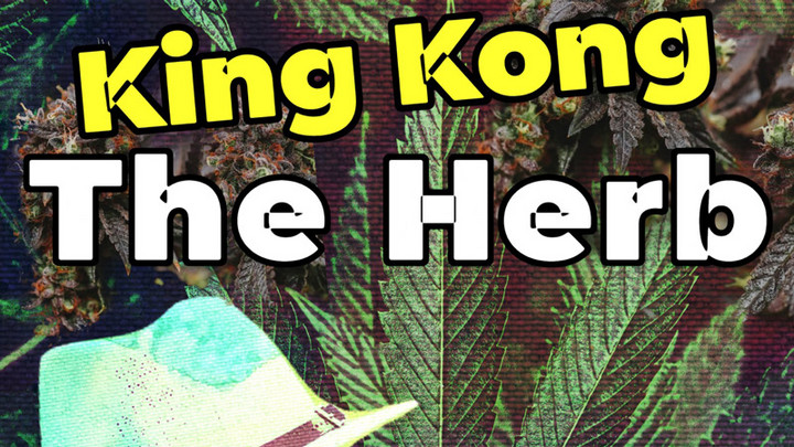 King Kong x Massive B - The Herb [2/10/2023]