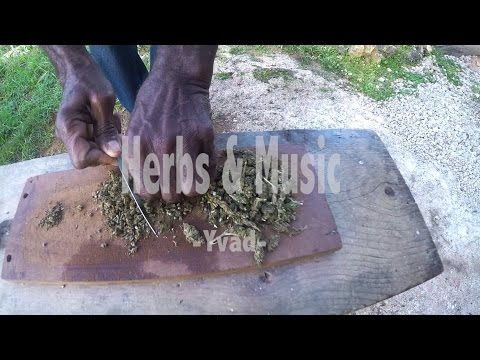 Yvad - Herbs & Music [8/7/2015]