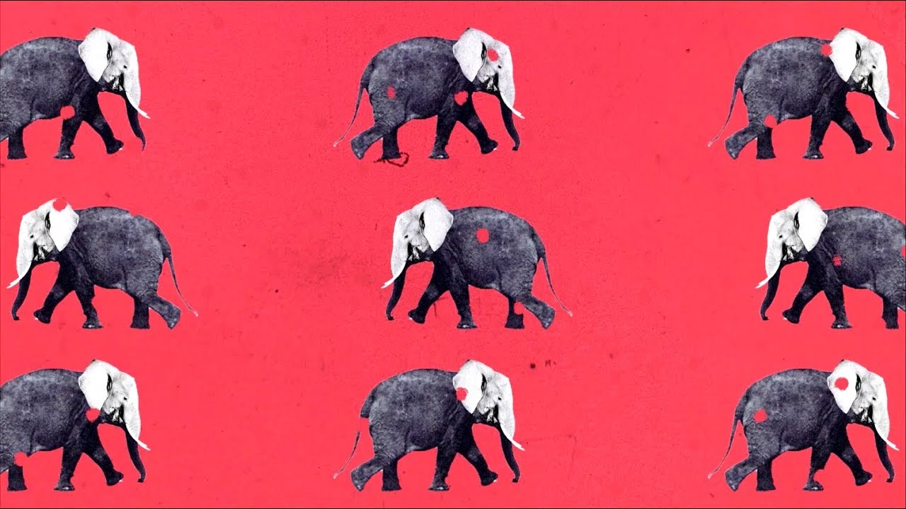 Banda Senderos - Elefanten (Lyric Video) [9/12/2019]