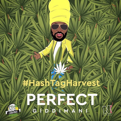 Perfect Giddimani - #HashTagHarvest