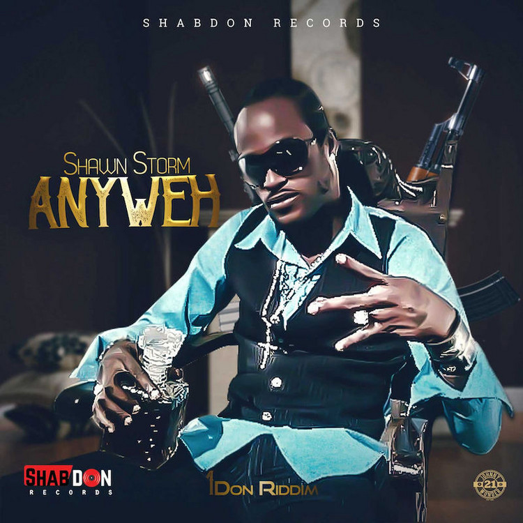 Shawn Storm - Anyweh