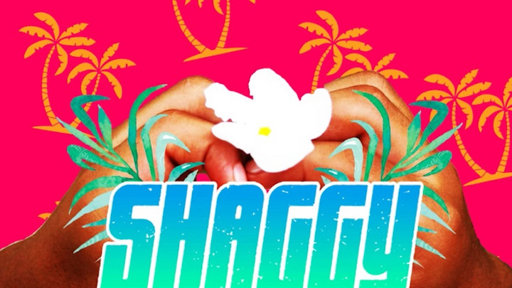 Shaggy - That Love (Tropixx Remix) [1/27/2017]
