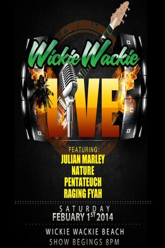 Julian Marley 2/1/2014