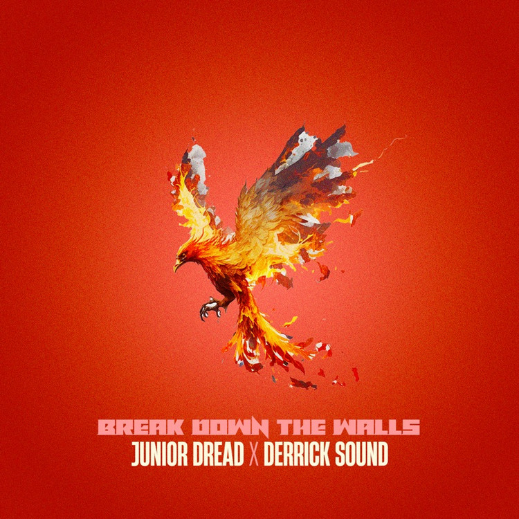 Junior Dread & Derrick Sound - Break Down The Walls