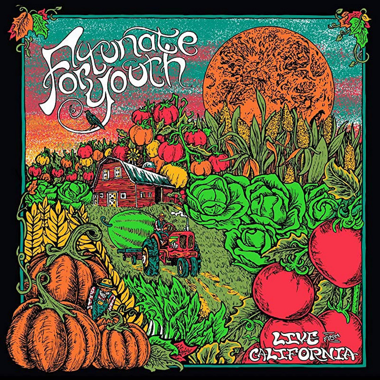 Fortunate Youth - Live From California (Full Album)