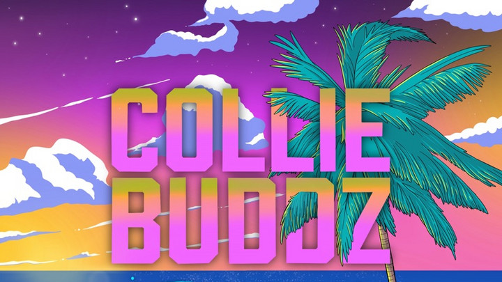 Collie Buddz - Take It Easy (Full Album) [9/29/2023]