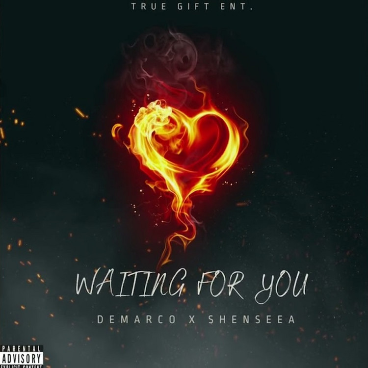 Demarco X Shenseea - Waiting For You