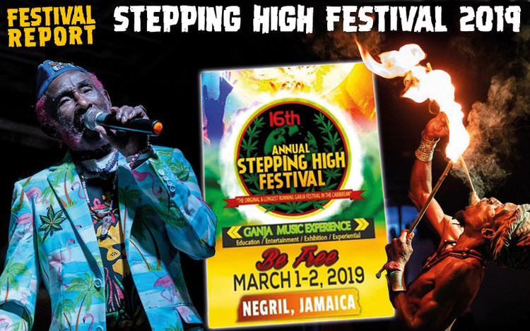 Festival Report - Stepping High Festival 2019