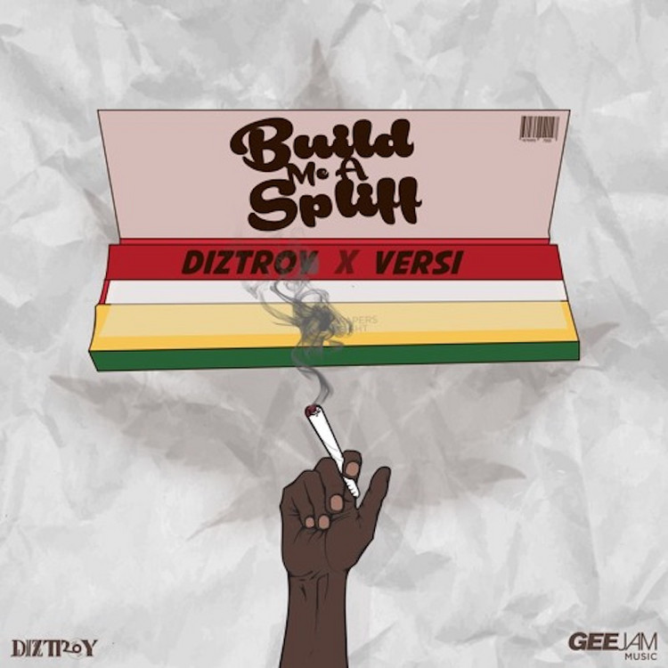 DizTroy & Versi - Build Me A Spliff