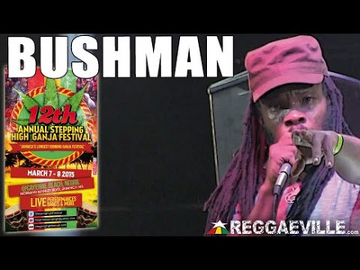 Bushman @ Stepping High Ganja Festival 2015
