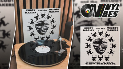 Ziggy Marley & The Melody Makers - Head Top | Remix (Reggaeville Vinyl Vibes #122)