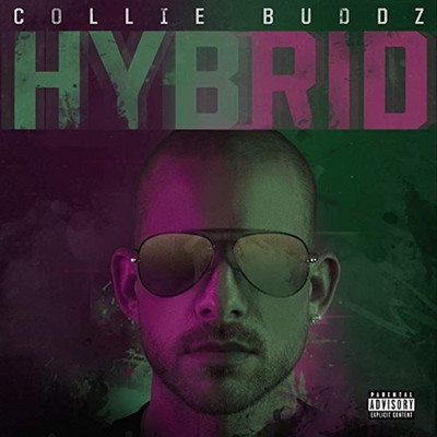 Collie Buddz - Hybrid