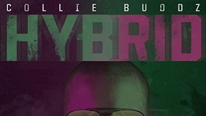 Collie Buddz - Hybrid (Full Album) [5/24/2019]