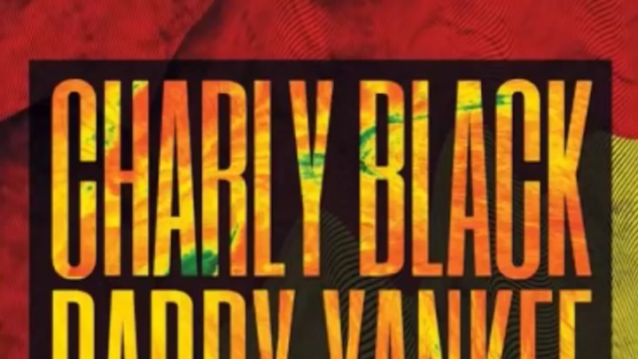 Charly Black feat. Daddy Yankee - Gyal You A Party Animal (Remix) [11/15/2016]