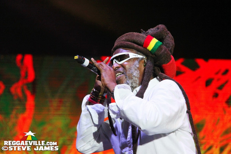 Steel Pulse, Toots & The Maytals