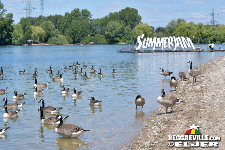 Festival Impressions