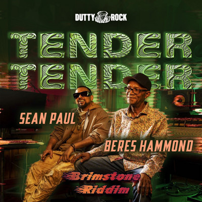 Soul Reggae. - Beres Hammond - VP Reggae