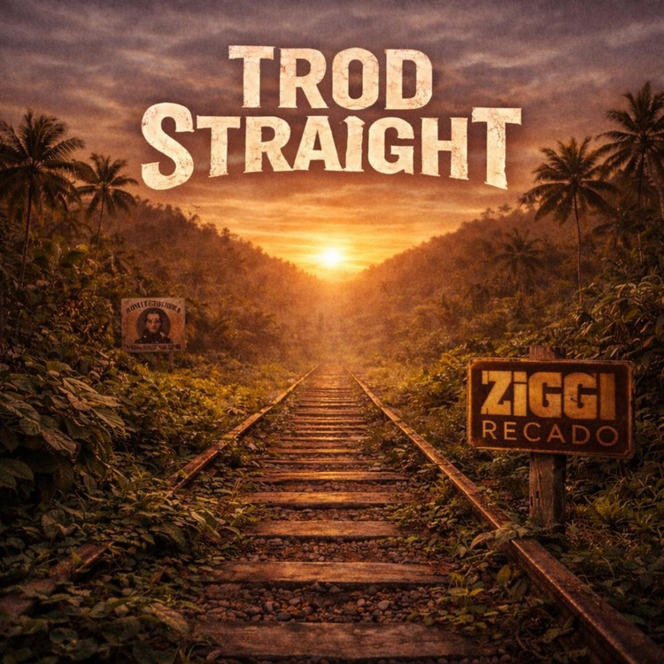 Ziggi Recado - Trod Straight