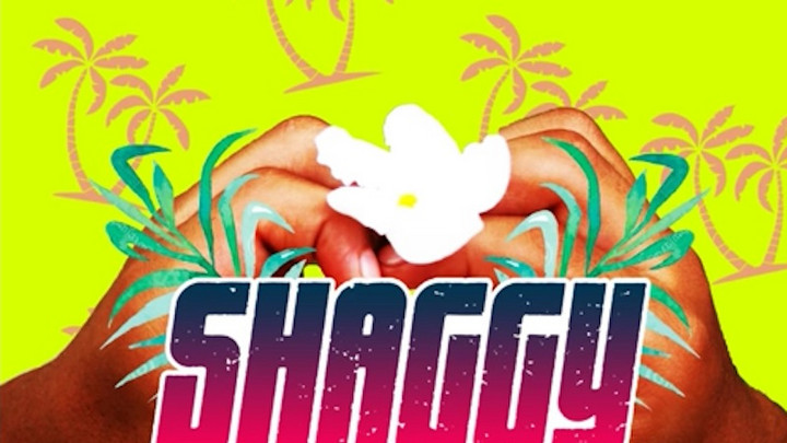 Shaggy - That Love (Luca Schreiner Remix) [12/30/2016]