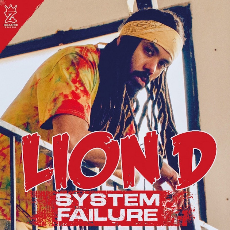 Lion D - System Failure
