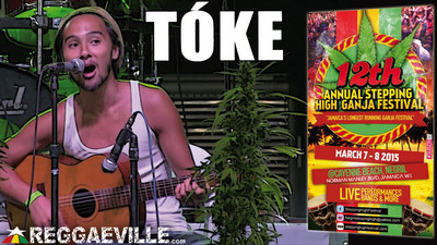 Tóke @ Stepping High Ganja Festival 2015