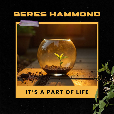 Beres Hammond - It's A Part Of Life
