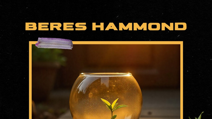 Beres Hammond - It's A Part Of Life [9/19/2025]
