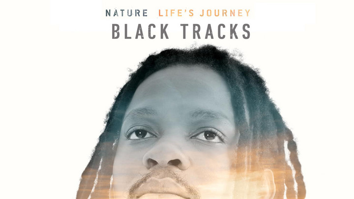 Nature - Black Tracks [6/5/2015]