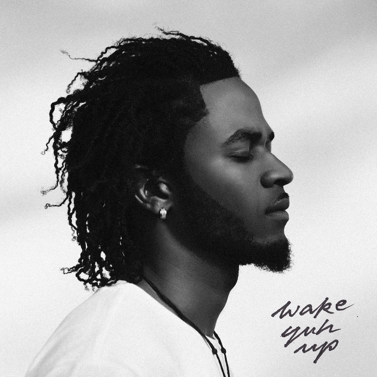 Shakespear D-Dondadda - Wake You Up (Full Album)