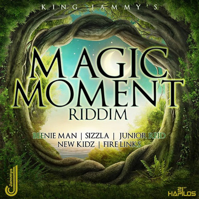 Various Artists - Magic Moment Riddim