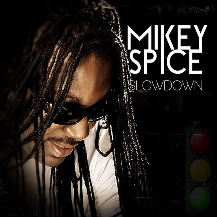 Mikey Spice - Slow Down (Full Album)
