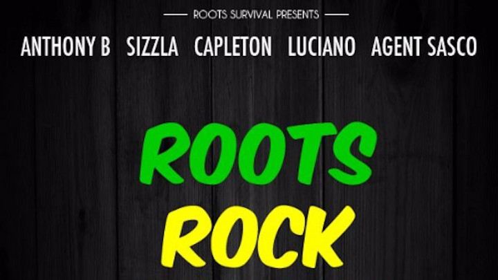 Roots Rock Reggae Riddim Mix [5/11/2016]