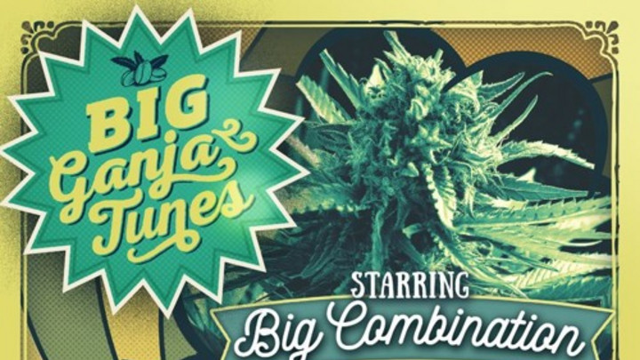 Big Combination - Ganja Farmers [2/18/2016]