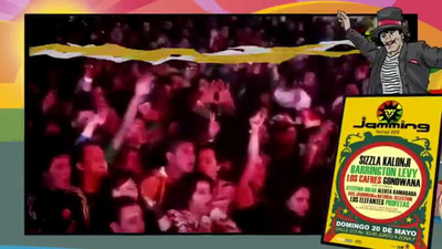 Jamming Festival - Over The Years