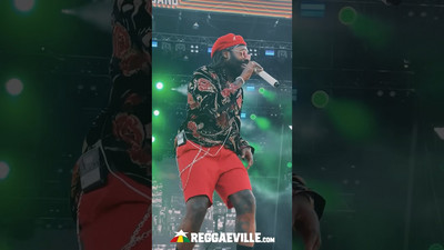 Tarrus Riley @ Reggae Land 2024