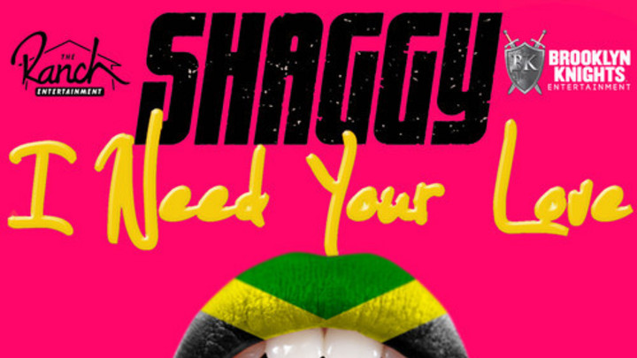 Shaggy - I Need Your Love feat. Faydee, Mohombi & Costi (Dancehall RMX) [1/8/2015]