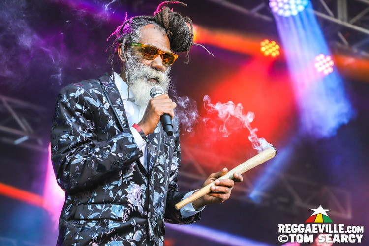 The Green, Slightly Stoopid feat. Don Carlos & Alborosie