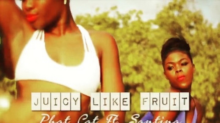 Phat Cat feat. Santina - Juicy Like Fruit [9/6/2016]