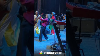 Steel Pulse @ SummerJam 2024 - Bass Sick Reggaeville!