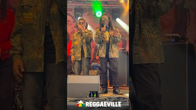 Sebastian Sturm & KushArt @ Reggae Jam 2023