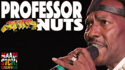 Professor Nuts @ Sting 2015
