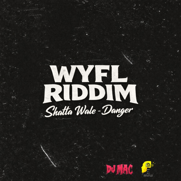 Shatta Wale - Danger