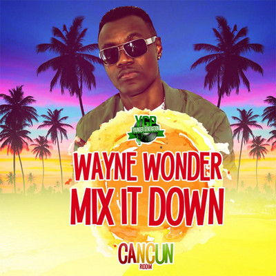 Wayne Wonder - Mix It Down