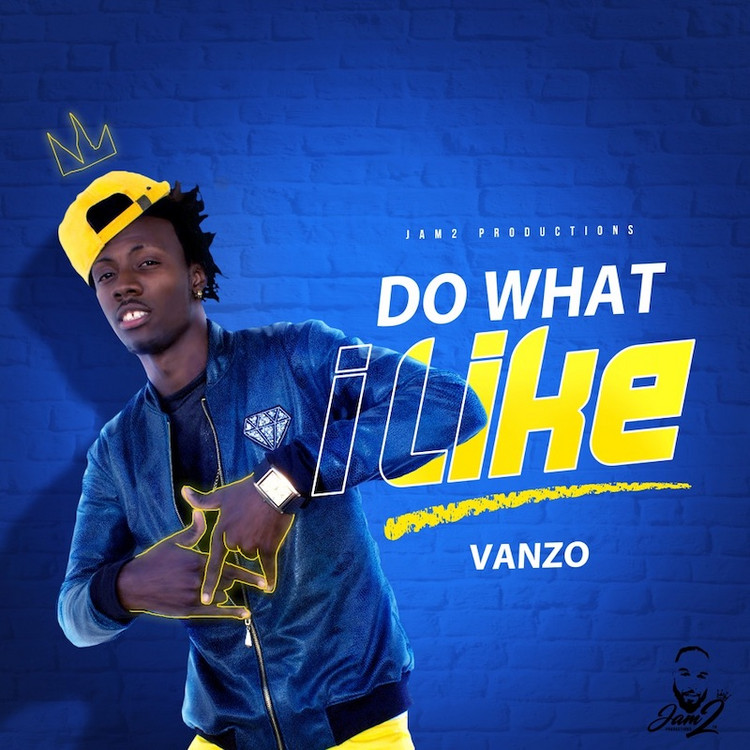 Vanzo - Do What I Like (Full Album)