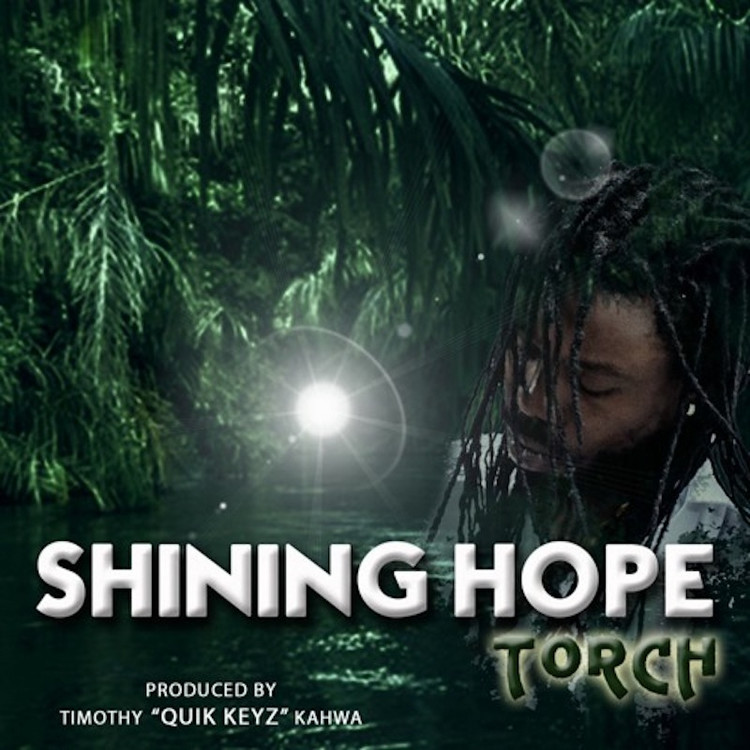 Torch - Shining Hope