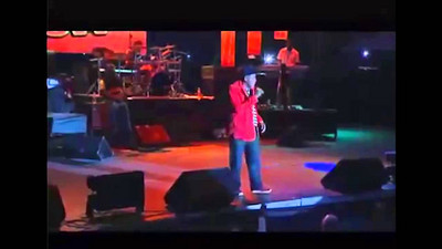 Stitchie @ Rebel Salute 2014