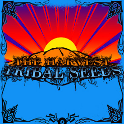 Tribal Seeds - Harvest
