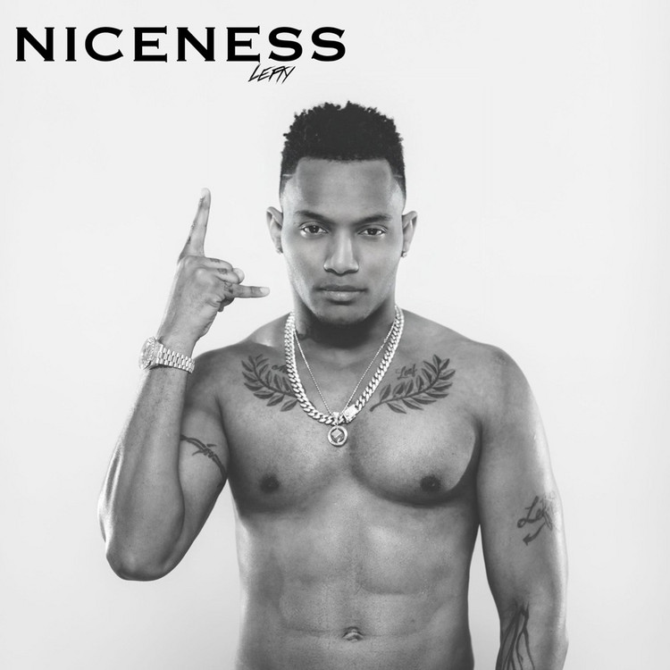 Leftside - Niceness
